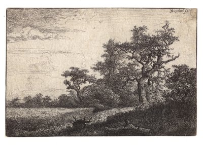 Incisione di albero e campo di grano da Jacob van Ruisdael